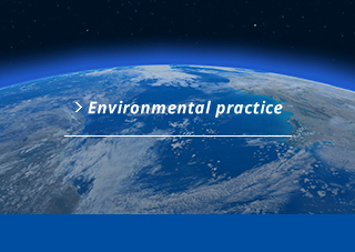 Environmental practice