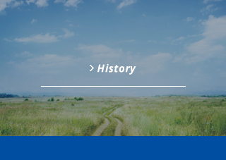 History