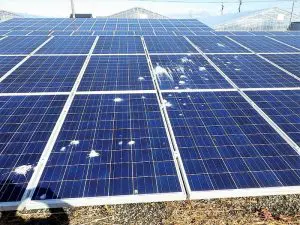 太陽光発電設備の不具合・トラブル事例