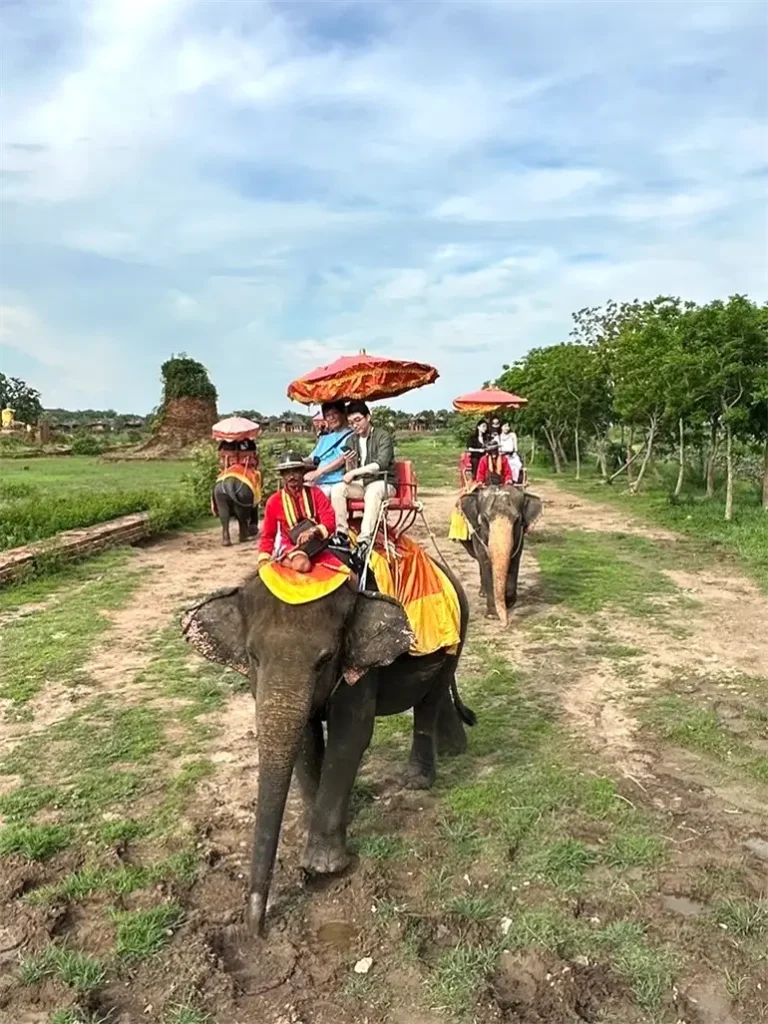 アユタヤにて象乗り体験_ユニバーサルエコロジー設立20周年記念旅行