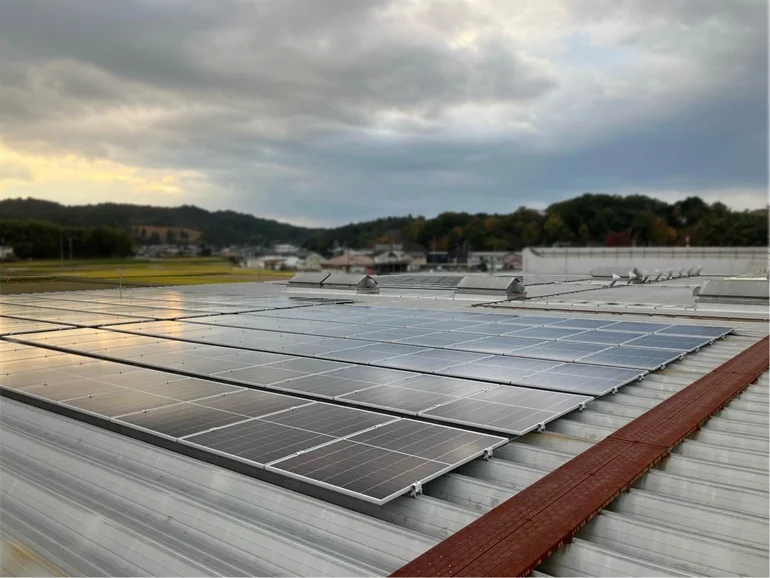 自家消費型太陽光発電_タチヤ関稲口店