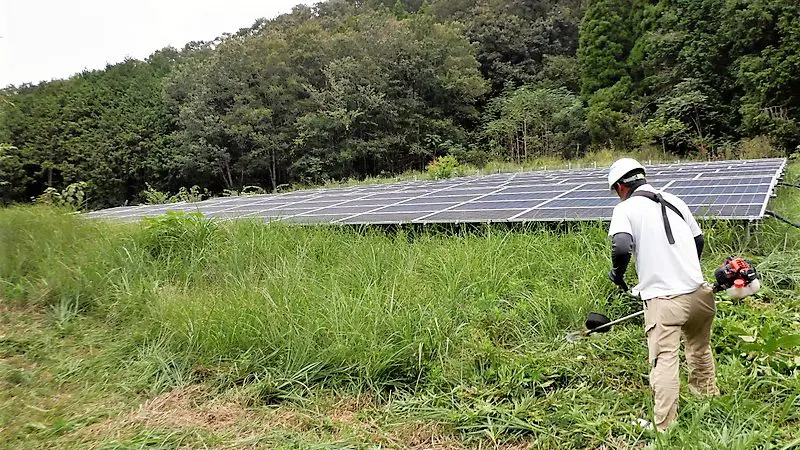 太陽光O＆M_草刈り・除草